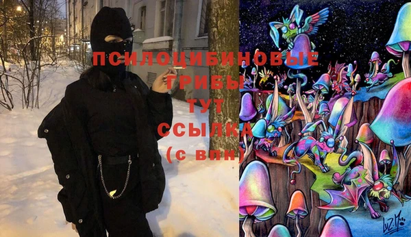 первитин Сосновка